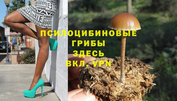 прущие грибы Арсеньев