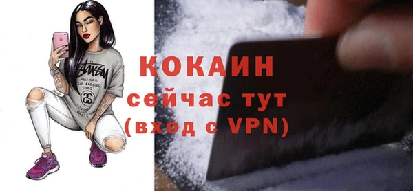 прущие грибы Арсеньев