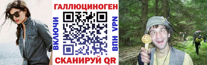 Галлюциногенные грибы Psilocybe  Купить где  Тимашёвск 